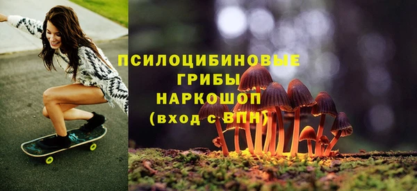 ГАЛЛЮЦИНОГЕННЫЕ ГРИБЫ Рославль