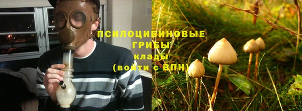 спиды Абаза